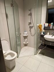 The Rise @ Oxley - Residences (D9), Apartment #449875631